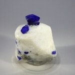 Polished Lapis Crystals on White Quartz ~44x34mm