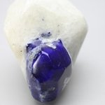 Polished Lapis Crystals on White Quartz ~51 x 41mm