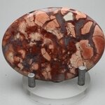 Poppy Jasper Palmstone (Extra Grade)  ~70x50mm