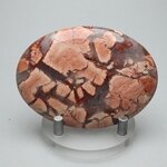 Poppy Jasper Palmstone (Extra Grade)  ~70x50mm