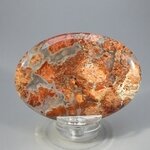 Poppy Jasper Palmstone (Extra Grade)  ~70x50mm