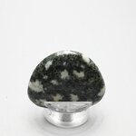 Preseli Stonehenge Bluestone Polished Stone ~46mm
