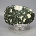 Preseli Stonehenge Bluestone Polished Stone ~55mm