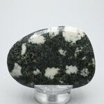Preseli Stonehenge Bluestone Polished Stone ~57mm