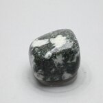 Preseli Stonehenge Bluestone Tumblestone ~30mm