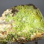 Pyromorphite Mineral Specimen ~70mm