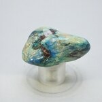 Quantum Quattro Polished Stone ~42mm