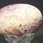 Rhodochrosite Palmstone (Extra Grade) ~52 x 37mm