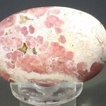 Rhodochrosite Palmstone (Extra Grade) ~53 x 37mm