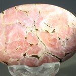 Rhodochrosite Palmstone (Extra Grade) ~58 x 40mm