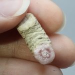 Rhodochrosite Stalagmite Stem ~21mm