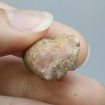 Rhodochrosite Stalagmite Stem ~22mm