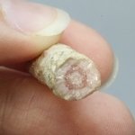 Rhodochrosite Stalagmite Stem ~24mm