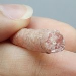 Rhodochrosite Stalagmite Stem ~29mm