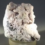 Rhodochrosite with Quartz Mineral Specimen ~53mm
