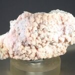 Rhodochrosite with Quartz Mineral Specimen ~65mm