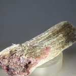 Rhodonite & Cummingtonite Healing Crystal ~74mm