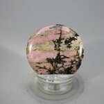 Rhodonite Polished Flat Tumblestone ~38mm