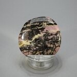 Rhodonite Polished Flat Tumblestone ~39mm