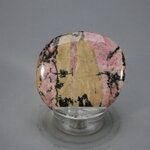 Rhodonite Polished Flat Tumblestone ~42mm