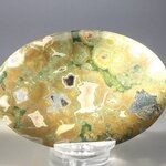 Rhyolite Palmstone (Extra Grade) ~70x50mm