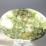Rhyolite Palmstone (Extra Grade) ~70x50mm