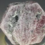 Ruby Healing Crystal ~23mm