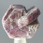 Ruby Healing Crystal ~28mm