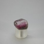 Ruby in Cordierite Tumblestone ~22mm