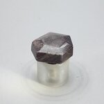 Ruby Polished Stone ~22mm