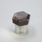Ruby Polished Stone ~22mm