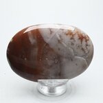 Sardonyx Palmstone (Extra Grade) ~70x50mm