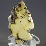 Schalenblende Polished Slice ~43mm