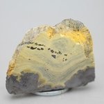 Schalenblende Polished Slice ~43mm