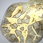 Septarian Polished Nodule ~12cm