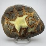 Septarian Polished Nodule ~12cm