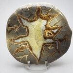 Septarian Polished Nodule ~12cm
