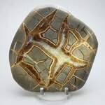 Septarian Polished Nodule ~12cm