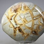 Septarian Polished Nodule ~9.5cm