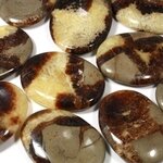 Septarian Thumb Stone