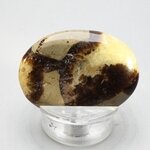Septarian Thumbstone ~40x30mm