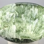 Seraphinite Palmstone (Extra Grade) ~70x50mm
