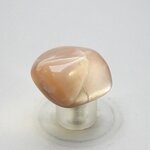Shaded Moonstone Polished Stone  ~30mm
