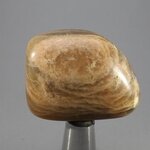 Shaded Moonstone Polished Stone  ~37mm