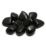 Shamanite Tumble Stone (20-25mm)