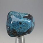 Shattuckite & Chrysocolla Tumblestone ~31mm