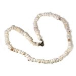 Shell Gemstone Chip Necklace with Clasp