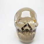Smoky Citrine Crystal Skull ~63x55mm