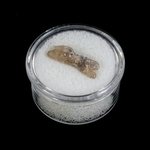 Smoky Topaz Healing Crystal