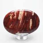 Snakeskin Jasper Palmstone (Extra Grade) ~70x50mm